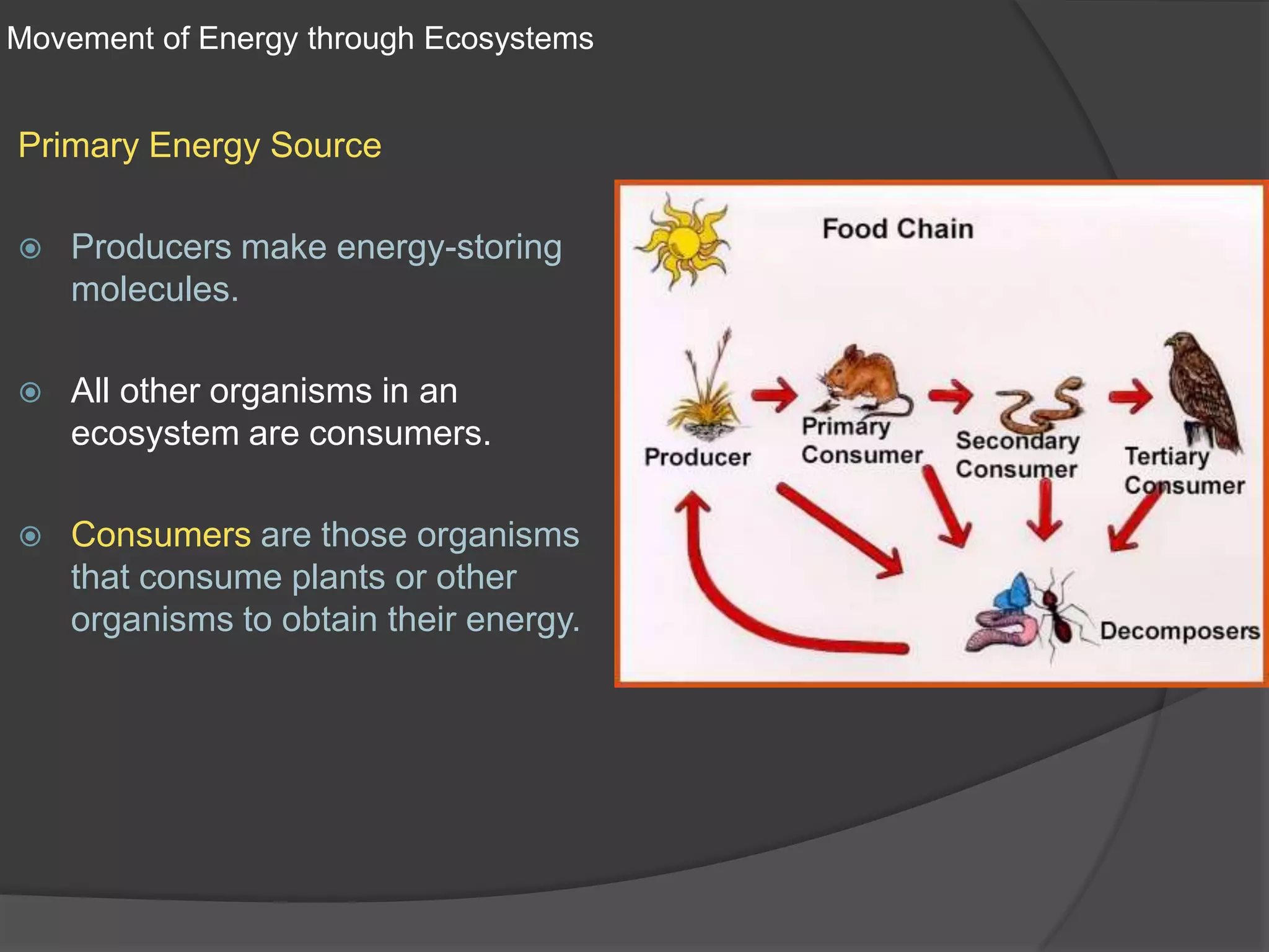 Movement of Energy through EcosystemsPrimary Energy SourceProducers make energy-storing molecules.All other organisms in an ecosystem are consumers.Consumers are those organisms that consume plants or other organisms to obtain their energy.