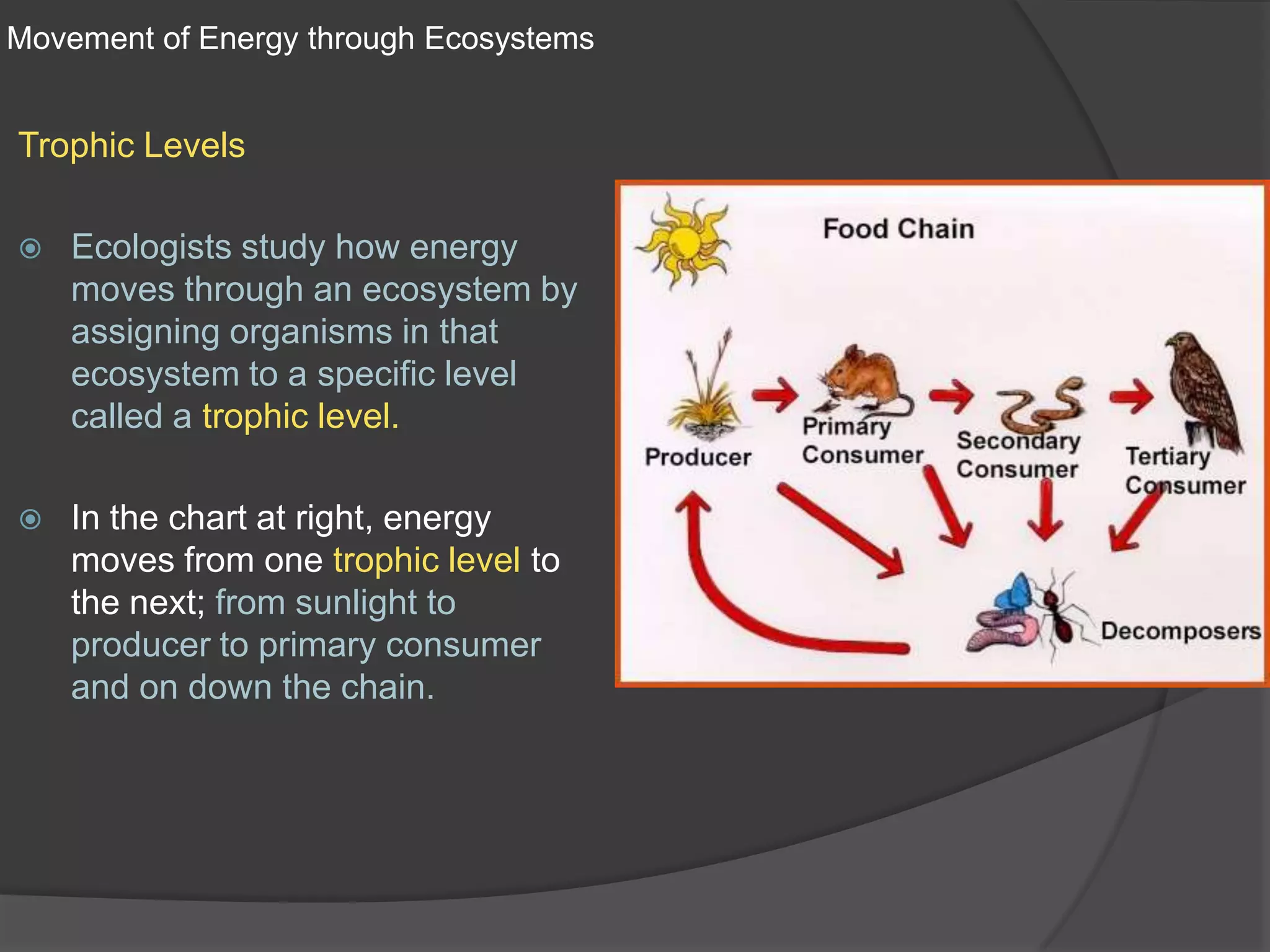 Movement of Energy through EcosystemsTrophic LevelsEcologists study how energy moves through an ecosystem by assigning organisms in that ecosystem to a specific level called a trophic level.In the chart at right, energy moves from one trophic level to the next; from sunlight to producer to primary consumer and on down the chain.