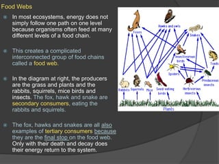 Food WebsIn most ecosystems, energy does not simply follow one path on one level because organisms often feed at many different levels of a food chain.This creates a complicated interconnected group of food chains called a food web.In the diagram at right, the producers are the grass and plants and the rabbits, squirrels, mice birds and insects. The fox, hawk and snake are secondary consumers, eating the rabbits and squirrels.The fox, hawks and snakes are all also examples of tertiary consumers because they are the final stop on the food web. Only with their death and decay does their energy return to the system.