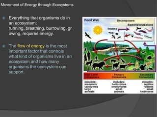 Movement of Energy through EcosystemsEverything that organisms do in an ecosystem; running, breathing, burrowing, growing, requires energy.The flow of energy is the most important factor that controls what kind of organisms live in an ecosystem and how many organisms the ecosystem can support. 