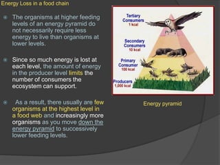 Energy Loss in a food chainThe organisms at higher feeding levels of an energy pyramid do not necessarily require less energy to live than organisms at lower levels.  Since so much energy is lost at each level, the amount of energy in the producer level limits the number of consumers the ecosystem can support.  As a result, there usually are few organisms at the highest level in a food web and increasingly more organisms as you move down the energy pyramid to successively lower feeding levels.  Energy pyramid