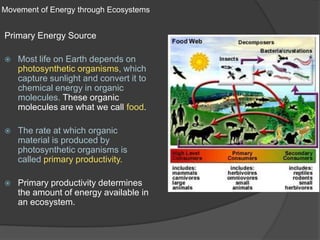 Movement of Energy through EcosystemsPrimary Energy SourceMost life on Earth depends on photosynthetic organisms, which capture sunlight and convert it to chemical energy in organic molecules. These organic molecules are what we call food.The rate at which organic material is produced by photosynthetic organisms is called primary productivity.Primary productivity determines the amount of energy available in an ecosystem.