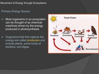Movement of Energy through EcosystemsPrimary Energy SourceMost organisms in an ecosystem can be thought of as chemical machines driven by the energy produced in photosynthesis.Organisms that first capture the energy are called producers and  include plants, some kinds of bacteria, and algae.