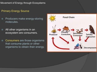 Movement of Energy through EcosystemsPrimary Energy SourceProducers make energy-storing molecules.All other organisms in an ecosystem are consumers.Consumers are those organisms that consume plants or other organisms to obtain their energy.