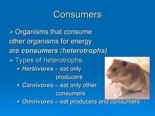 Consumers Organisms that consume  other organisms for energy  are  consumers   ( heterotrophs) Types of heterotrophs Herbivores  – eat only  producers Carnivores  – eat only other  consumers Omnivores  – eat producers and consumers 