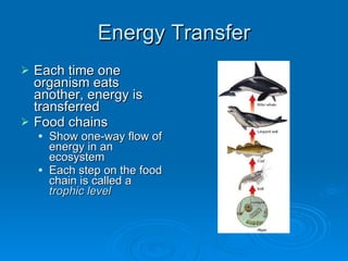 Energy Transfer Each time one organism eats another, energy is transferred Food chains Show one-way flow of energy in an ecosystem Each step on the food chain is called a  trophic level 
