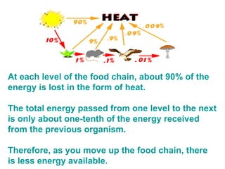 At each level of the food chain, about 90% of the energy is lost in the form of heat.   The total energy passed from one level to the next is only about one-tenth of the energy received from the previous organism. Therefore, as you move up the food chain, there is less energy available.   