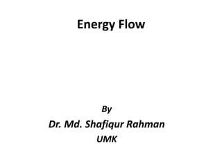 Energy Flow




          By
Dr. Md. Shafiqur Rahman
         UMK
 