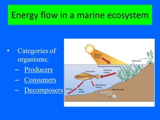 Energy flows.matter cycles.10.2012.slideshow