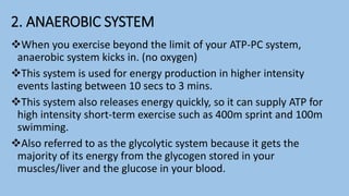 2. ANAEROBIC SYSTEM
When you exercise beyond the limit of your ATP-PC system,
anaerobic system kicks in. (no oxygen)
This system is used for energy production in higher intensity
events lasting between 10 secs to 3 mins.
This system also releases energy quickly, so it can supply ATP for
high intensity short-term exercise such as 400m sprint and 100m
swimming.
Also referred to as the glycolytic system because it gets the
majority of its energy from the glycogen stored in your
muscles/liver and the glucose in your blood.
 