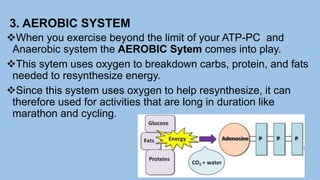 3. AEROBIC SYSTEM
When you exercise beyond the limit of your ATP-PC and
Anaerobic system the AEROBIC Sytem comes into play.
This sytem uses oxygen to breakdown carbs, protein, and fats
needed to resynthesize energy.
Since this system uses oxygen to help resynthesize, it can
therefore used for activities that are long in duration like
marathon and cycling.
 