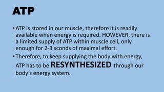 ATP
• ATP is stored in our muscle, therefore it is readily
available when energy is required. HOWEVER, there is
a limited supply of ATP within muscle cell, only
enough for 2-3 sconds of maximal effort.
• Therefore, to keep supplying the body with energy,
ATP has to be RESYNTHESIZED through our
body’s energy system.
 