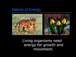 Nature of Energy Living organisms need energy for growth and movement. 