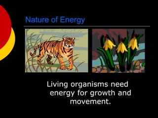 Nature of Energy
Living organisms need
energy for growth and
movement.
 