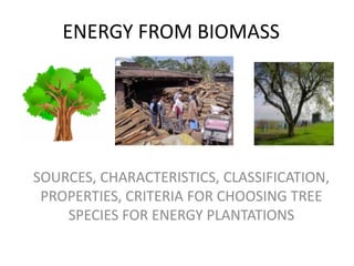 ENERGY FROM BIOMASS




SOURCES, CHARACTERISTICS, CLASSIFICATION,
 PROPERTIES, CRITERIA FOR CHOOSING TREE
    SPECIES FOR ENERGY PLANTATIONS
 
