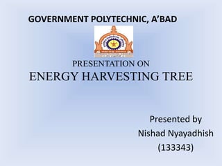 PRESENTATION ON
ENERGY HARVESTING TREE
Presented by
Nishad Nyayadhish
(133343)
GOVERNMENT POLYTECHNIC, A’BAD
 
