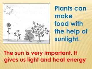 Plants can
make
food with
the help of
sunlight.
The sun is very important. It
gives us light and heat energy
 