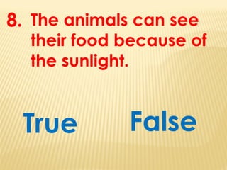 The animals can see
their food because of
the sunlight.
True
8.
False
 