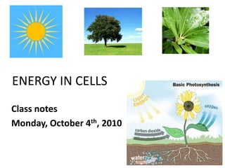 ENERGY IN CELLS Class notes Monday, October 4th, 2010 