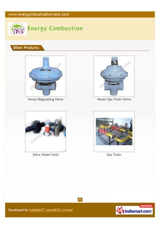 Other Products:




        Vanaz Regulating Valve   Vanaz Gas Train Valve




           Ultra Violet Cells          Gas Train
 