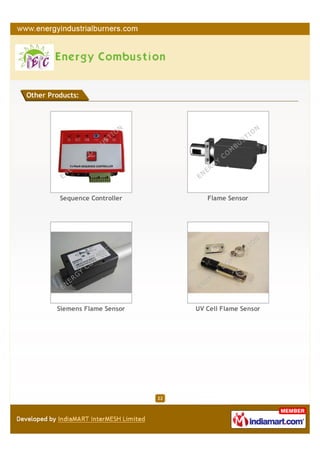Other Products:




         Sequence Controller           Flame Sensor




        Siemens Flame Sensor        UV Cell Flame Sensor




                               22
 