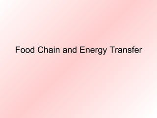 Food Chain and Energy Transfer 