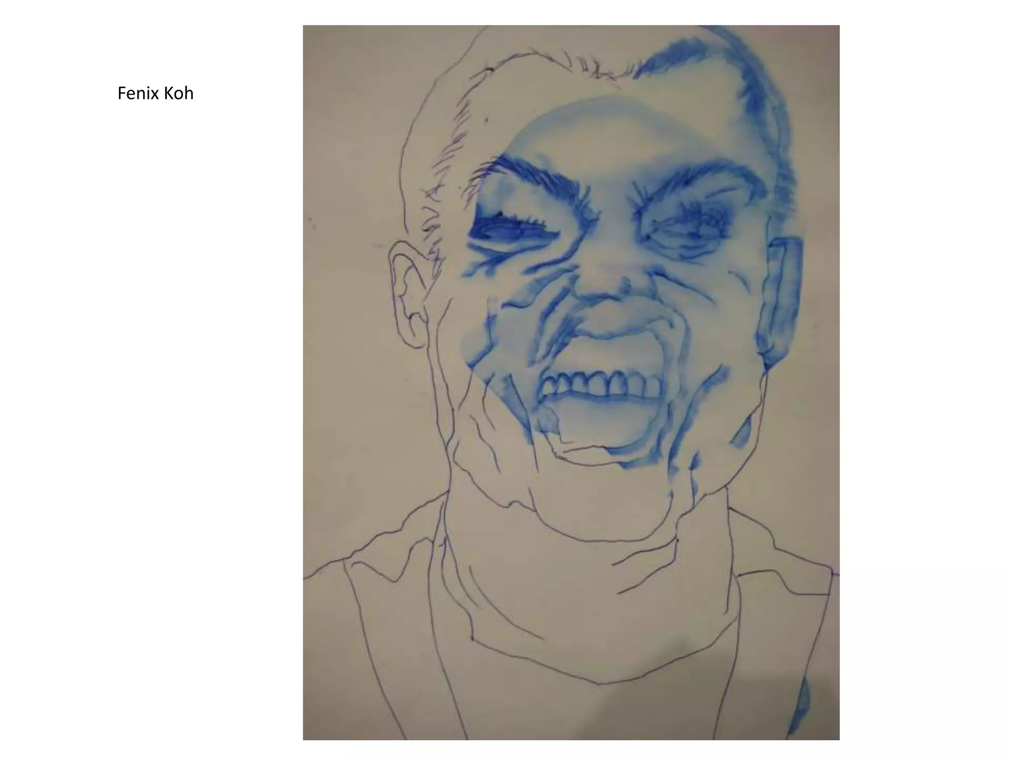 Fenix Koh