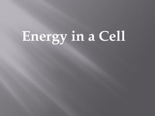 Energy in a Cell 