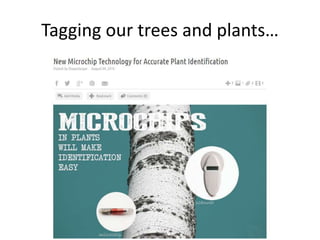 Tagging our trees and plants…
 