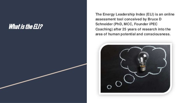 Mentarena Energy Leadership Index