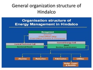 General organization structure of
Hindalco
 