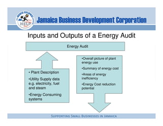 Inputs and Outputs of a Energy Audit
                         Energy Audit


                                 •Overall picture of plant
                                 energy use
                                 •Summary of energy cost
• Plant Description
                                 •Areas of energy
•Utility Supply data             inefficiency
e.g. electricity, fuel           •Energy Cost reduction
and steam                        potential
•Energy Consuming
systems
 