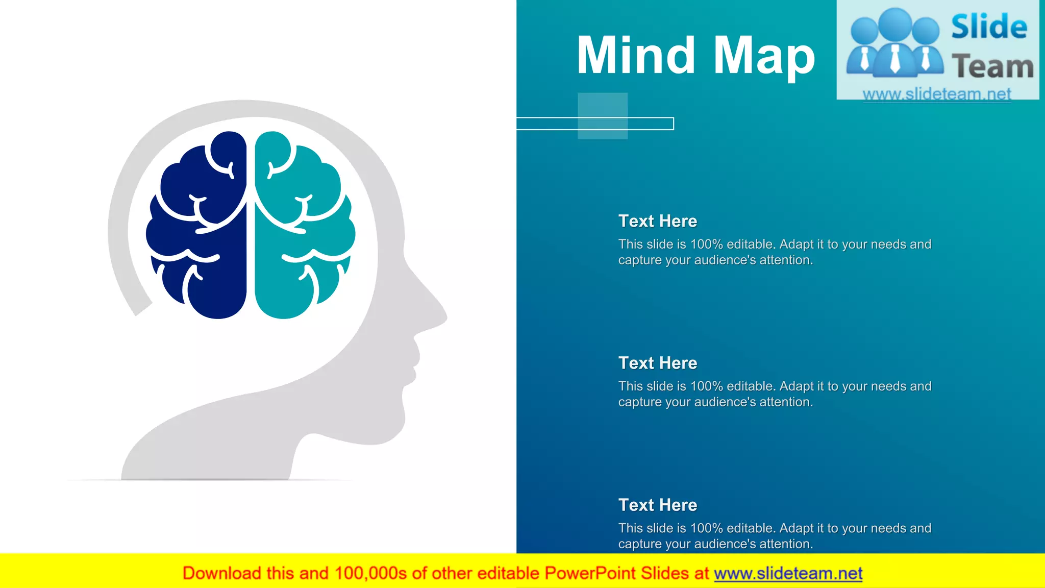 64
This slide is 100% editable. Adapt it to your needs and
capture your audience's attention.
Text Here
This slide is 100% editable. Adapt it to your needs and
capture your audience's attention.
Text Here
This slide is 100% editable. Adapt it to your needs and
capture your audience's attention.
Text Here
Mind Map
 