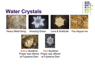 Water Crystals
Heavy Metal Song Amazing Grace
Before Buddhist
Prayer was offered
at Fujiwama Dam
After Buddhist
Prayer was offered
at Fujiwama Dam
Love & Gratitude You disgust me
 