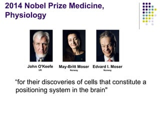 2014 Nobel Prize Medicine,
Physiology
“for their discoveries of cells that constitute a
positioning system in the brain"
John O'Keefe
UK
May-Britt Moser
Norway
Edvard I. Moser
Norway
 