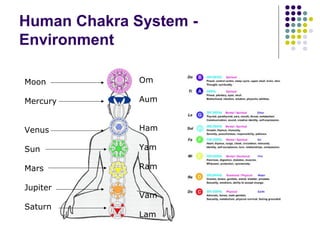 Human Chakra System -
Environment
Moon
Mercury
Venus
Sun
Mars
Jupiter
Saturn
Om
Aum
Ham
Yam
Ram
Vam
Lam
 