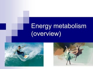 Energy metabolism
(overview)
 