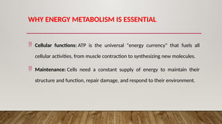 Human physiology, Energy Metabolism and associated disorders | PPTX