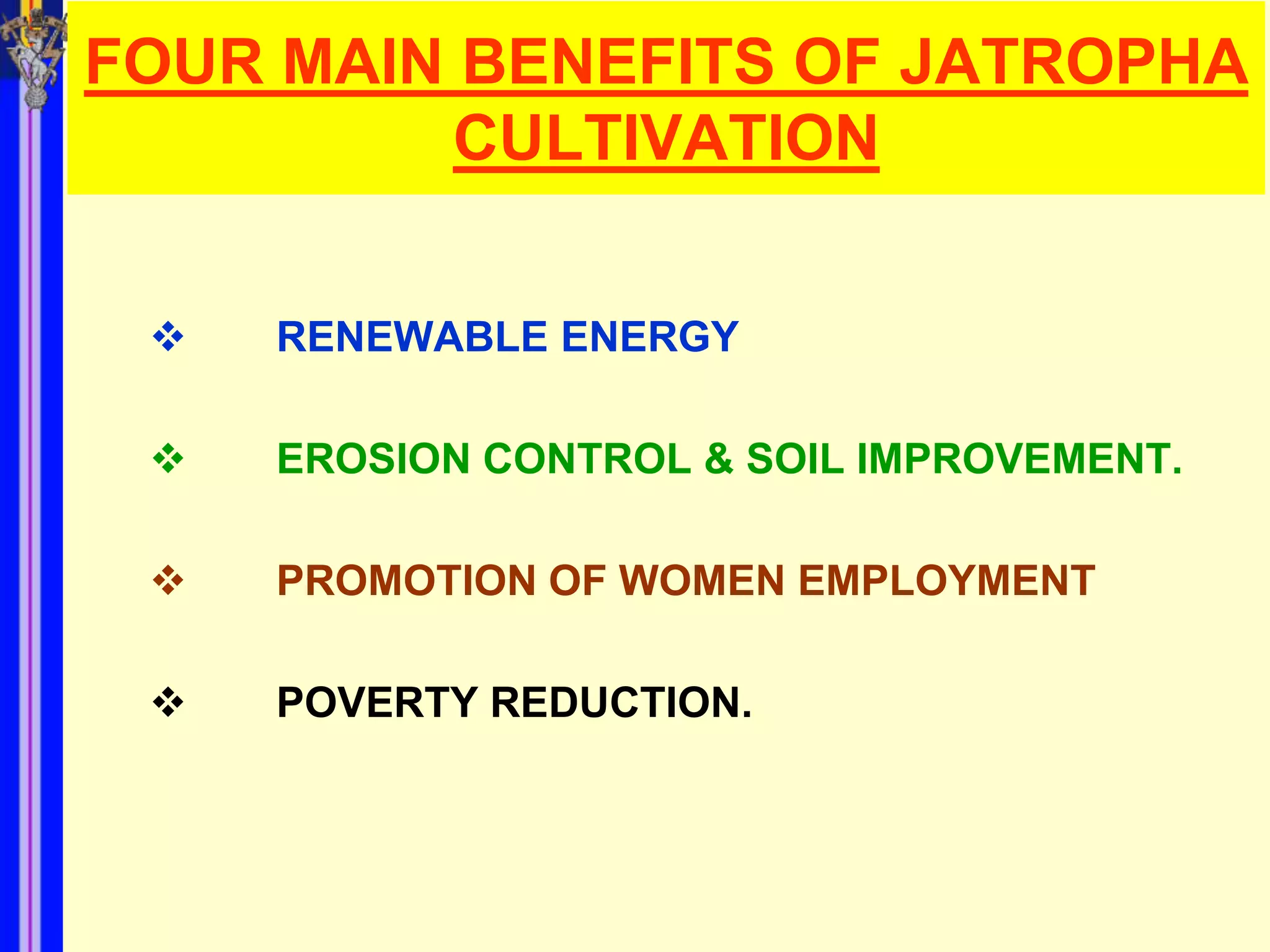 FOUR MAIN BENEFITS OF JATROPHA
          CULTIVATION


    RENEWABLE ENERGY

    EROSION CONTROL & SOIL IMPROVEMENT.

    PROMOTION OF WOMEN EMPLOYMENT

    POVERTY REDUCTION.
 