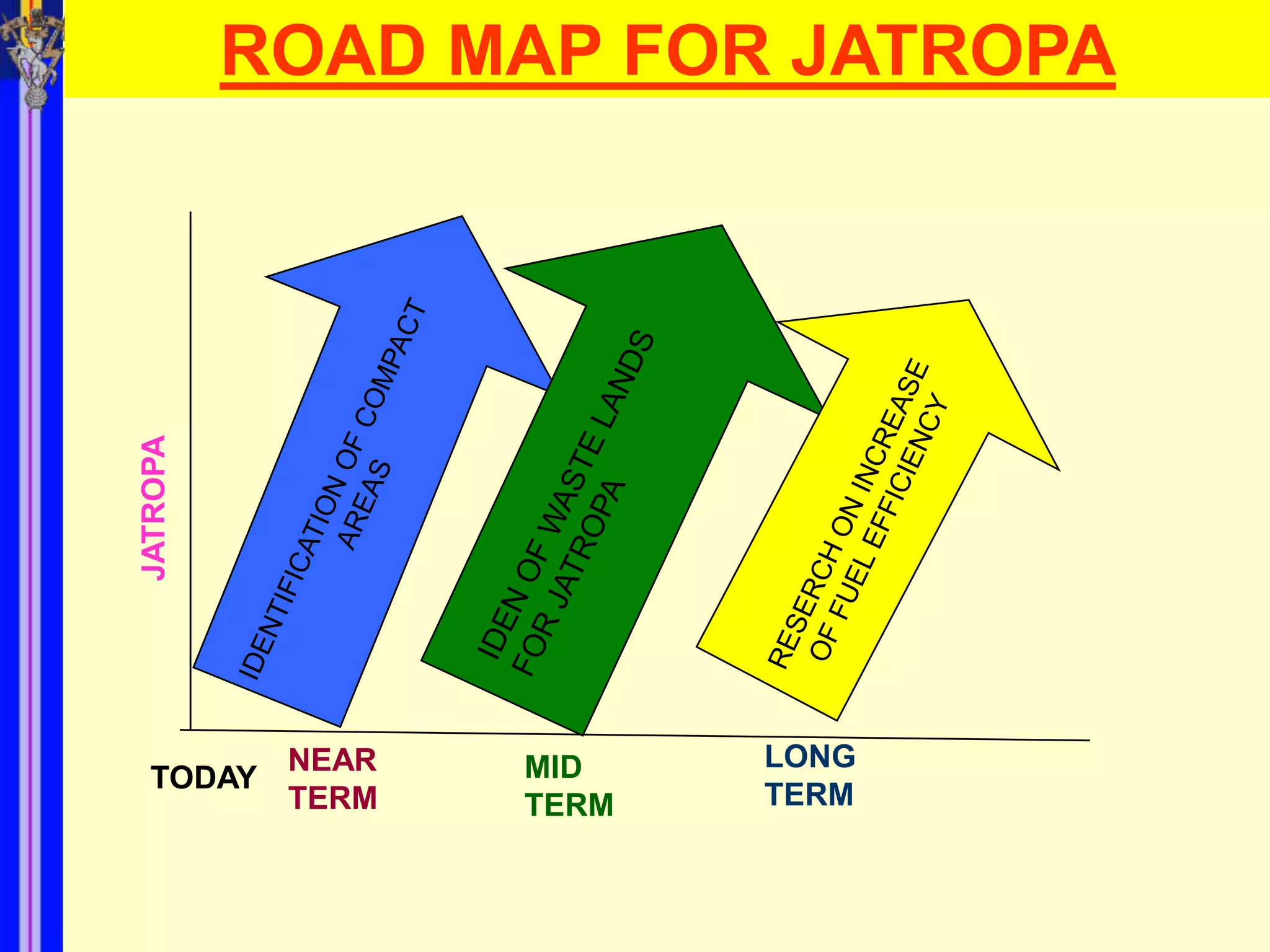 ROAD MAP FOR JATROPA
JATROPA




           NEAR   MID    LONG
  TODAY
           TERM   TERM   TERM
 