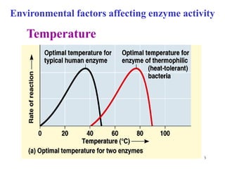 Environmental factors affecting enzyme activity

   Temperature




                                           16
 