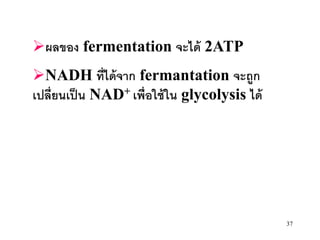 ผลของ fermentation จะได้ 2ATP
NADH ที่ได้ จาก fermantation จะถูก
เปลี่ยนเป็ น NAD+ เพื่อใช้ ใน glycolysis ได้




                                               37
 