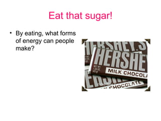 Eat that sugar!
• By eating, what forms
  of energy can people
  make?
 