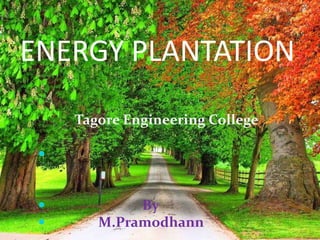 ENERGY PLANTATION
Tagore Engineering College





By
M.Pramodhann

 