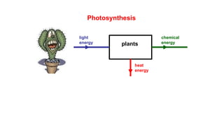 Photosynthesis
plants
light
energy
heat
energy
chemical
energy
 