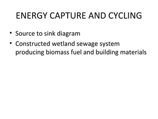 ENERGY CAPTURE AND CYCLING
• Source to sink diagram
• Constructed wetland sewage system
  producing biomass fuel and building materials
 