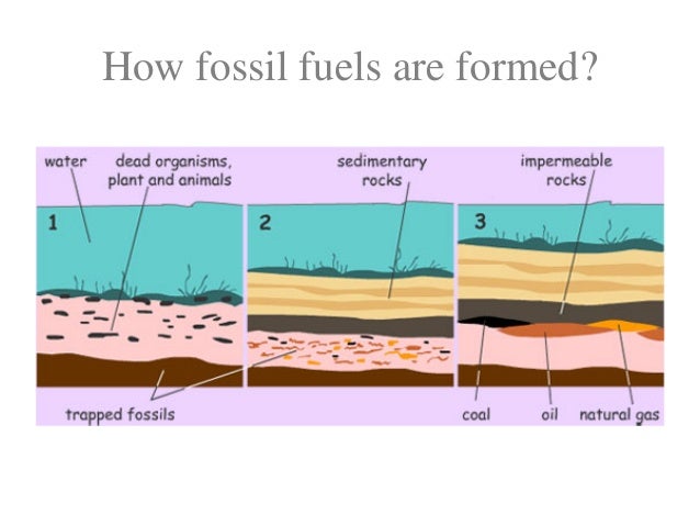 Where Is Natural Gas Formed Where Is Natural Gas Formed