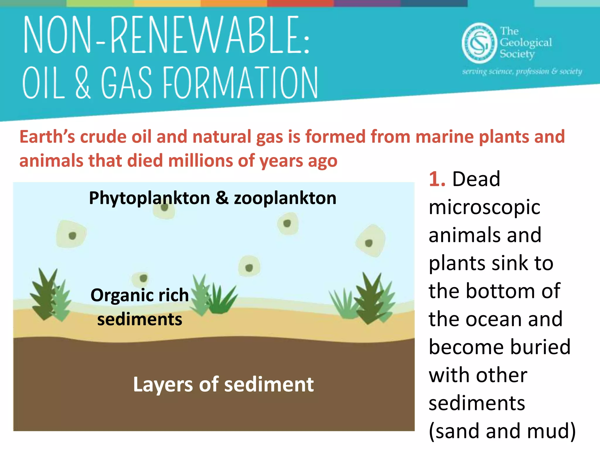 Earth’s crude oil and natural gas is formed from marine plants and
animals that died millions of years ago
1. Dead
microscopic
animals and
plants sink to
the bottom of
the ocean and
become buried
with other
sediments
(sand and mud)
Phytoplankton & zooplankton
Layers of sediment
Organic rich
sediments
 