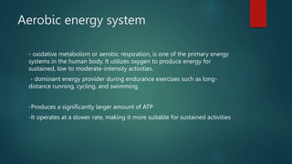 ENERGY PRODUCTION FROM ANAEROBIC AND AEROBICS SYSTEMS.pptx