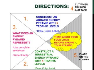 Labeled energy pyramid